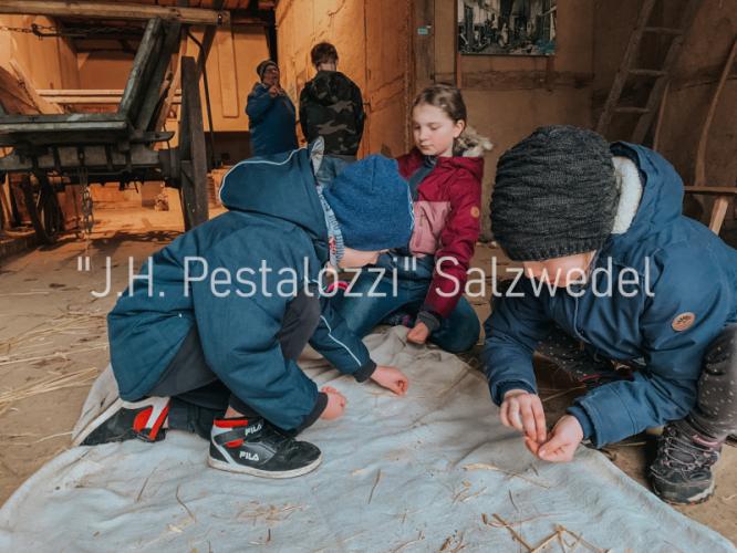 Auflesen eigenst&auml;ndig gedreschten Getreides